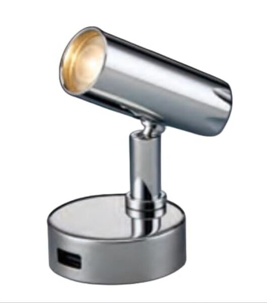 Sea World Kuma Okuma Lambası