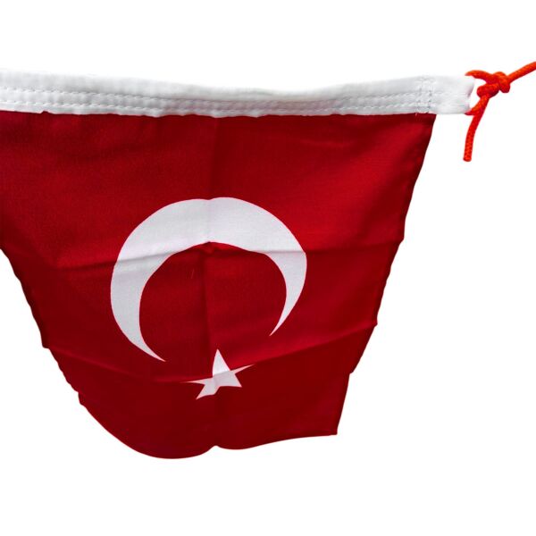 Türk Bayrağı  2498