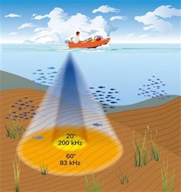 Condor 342 C DC Renkli Ekran Balık Bulucu Türkçe Menü