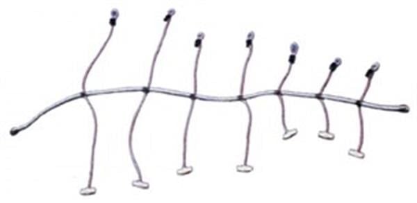 Yelken sarma lastiği (ahtapot) 8MMX200CM