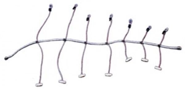 Yelken sarma lastiği (ahtapot) 10MMX300CM